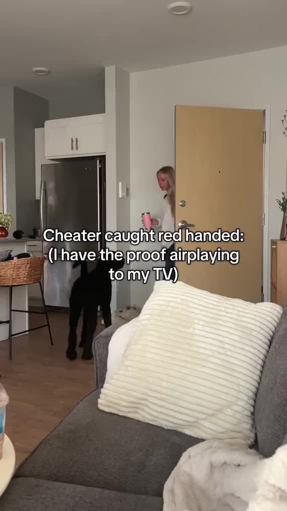 Was so nervous for this #cheater #girlfriend #boyfriend #cheatersgettingcaught