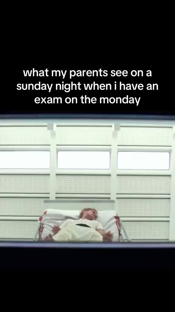im sorry peeta you should’ve used our app tho #hungergames #thg #exam #school #gcse