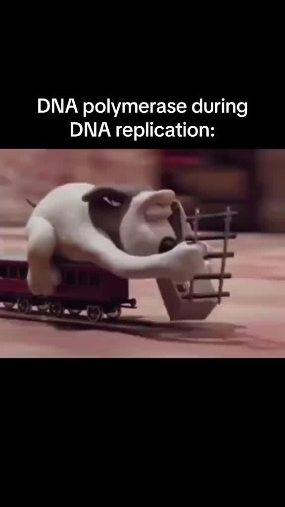 This is a saxmike production I hope you guys enjoy #biologymemes #biology #alevelbiology