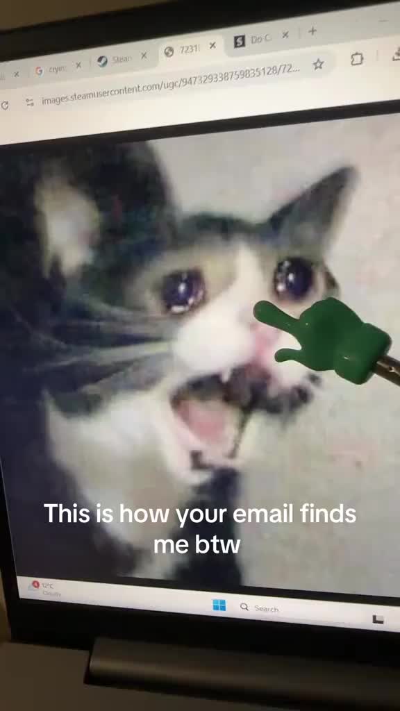 “I hope this email finds you well” no Kevin it doesn’t #tinyhand #fyp #foryou #corporate