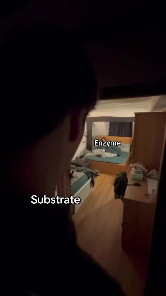 This is a saxmike production I hope you guys enjoy @Ella #alevelbiology #biologyalevel #biologymemes #alevelbiologytips