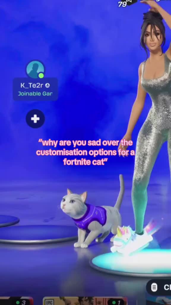 she went missing last year❤️‍🩹😓💔i wish i could’ve made her in fortnite🥺 tags|| #fortnite #fortnitesidekicks #cat #fo