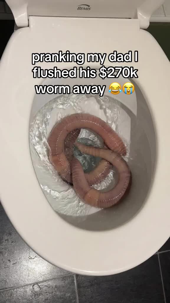 it’s his baby too 😭😭 #fyp #ai #viral #prank #animals