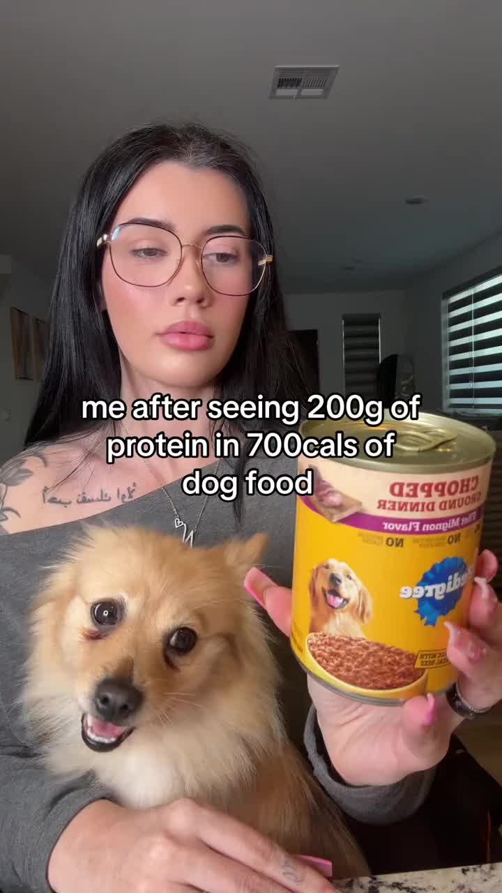 Aspen is currently questioning my mental state #gymhumor #highproteinmeals #iamnotokaywiththis