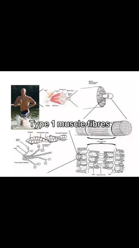 Free Analysis and Advice at faceiqlabs.com #endurance