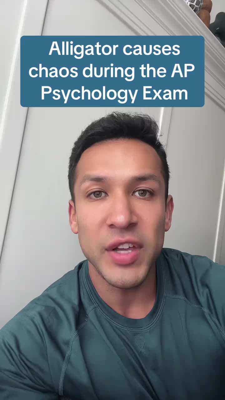 Alligator causes chaos during the AP Psychology exam . . . #appsych #apexam #apexams #highschool #fyp