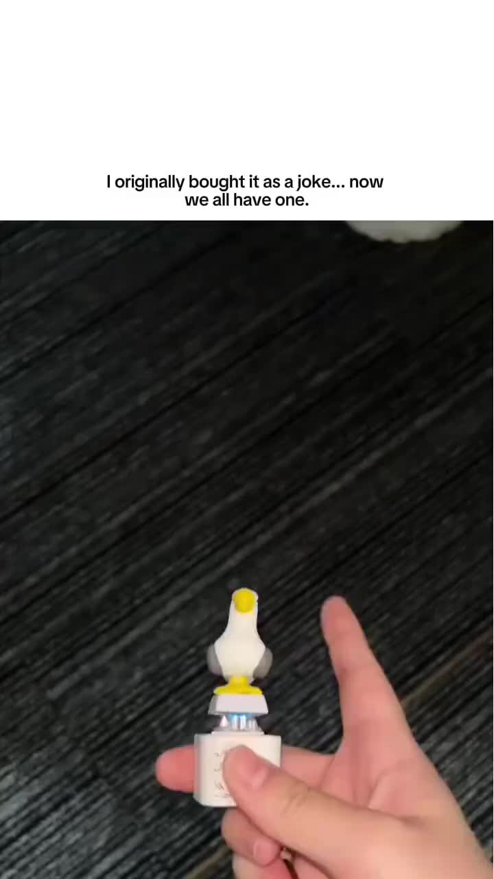 I originally bought it as a joke... now we all have one.