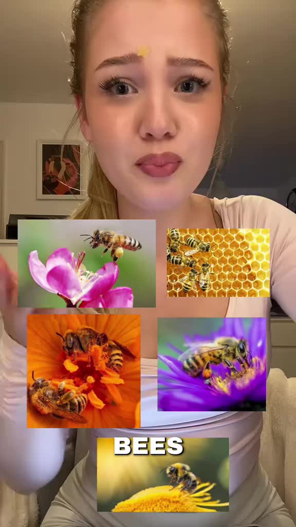 Save our bees 🐝🥹 #savebees #environment #saveourearth #extinctanimals #sustainableliving