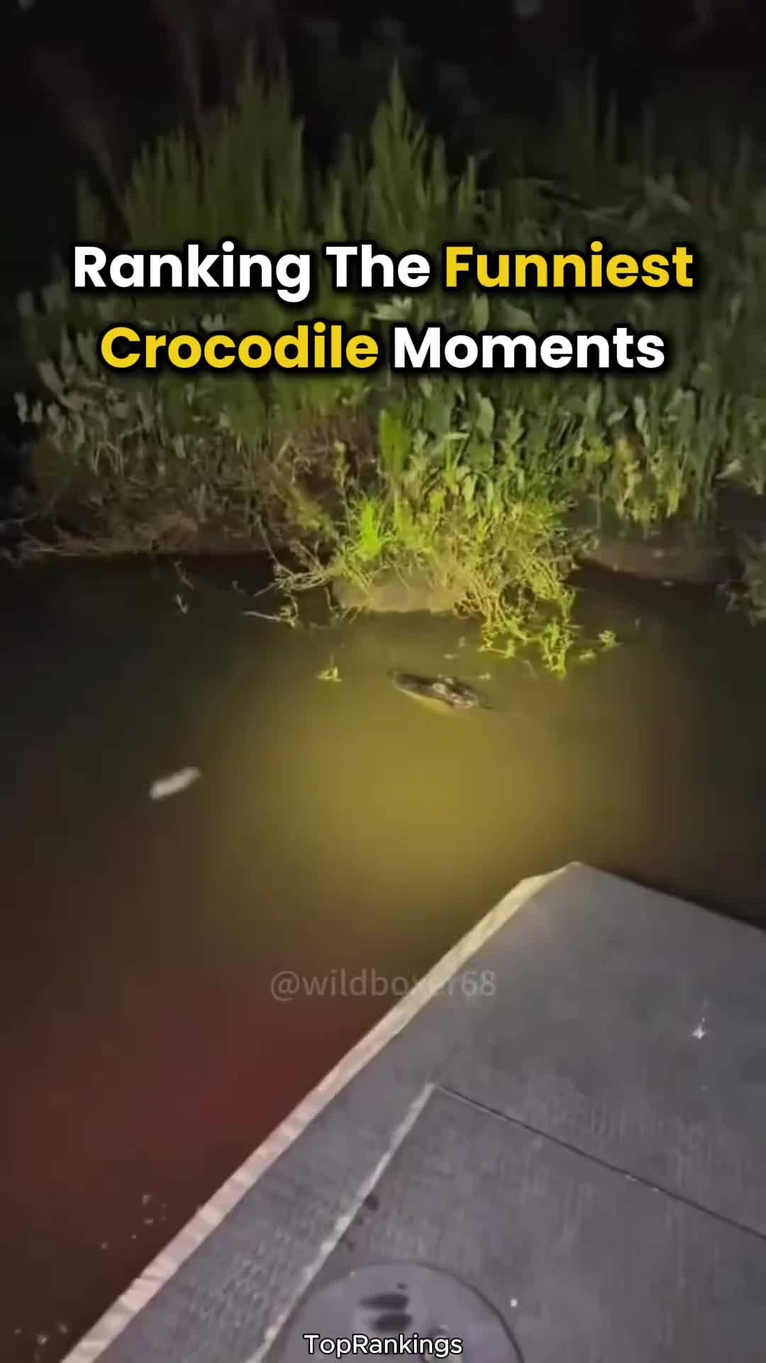 Ranking The Funniest Crocodile Moments 🐊🔥#fypppppppppppppppppppppppppppppppppp #viral #funny #viralvideo #fypage #fyp