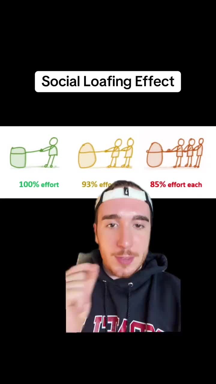 The Social Loafing Effect #money