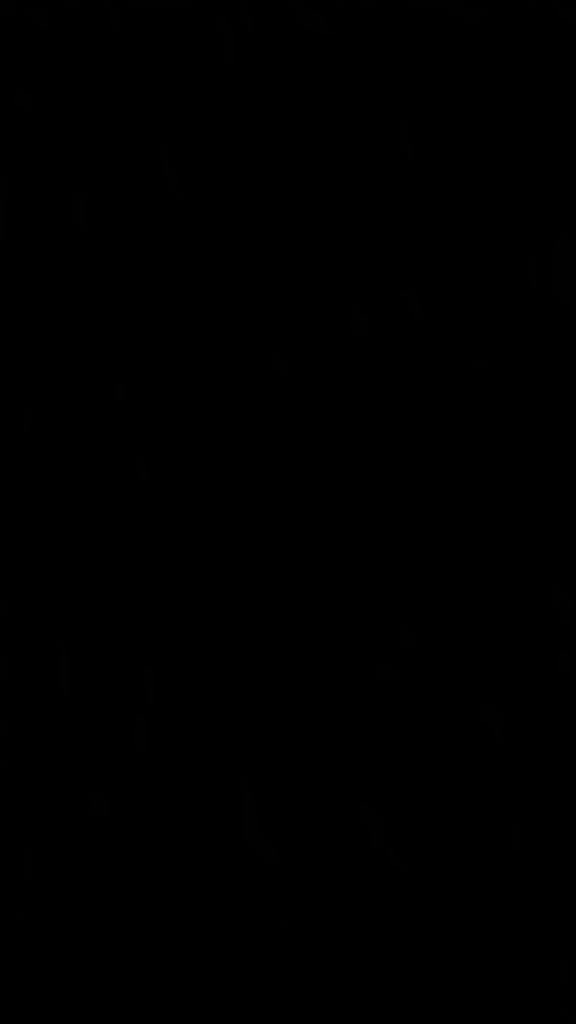 3.mp4