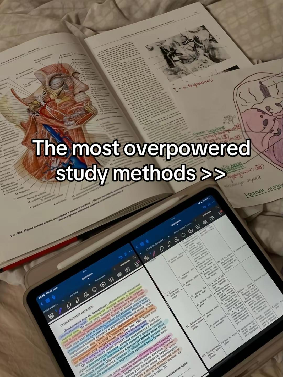 Study hacks for studytok students ✨ #studywithme #studytok #studytips #studyhacks