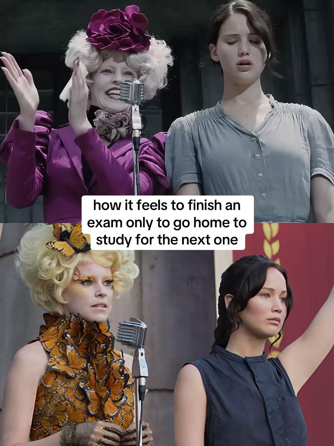 #thehungergames #exams #hungergames #meme #school