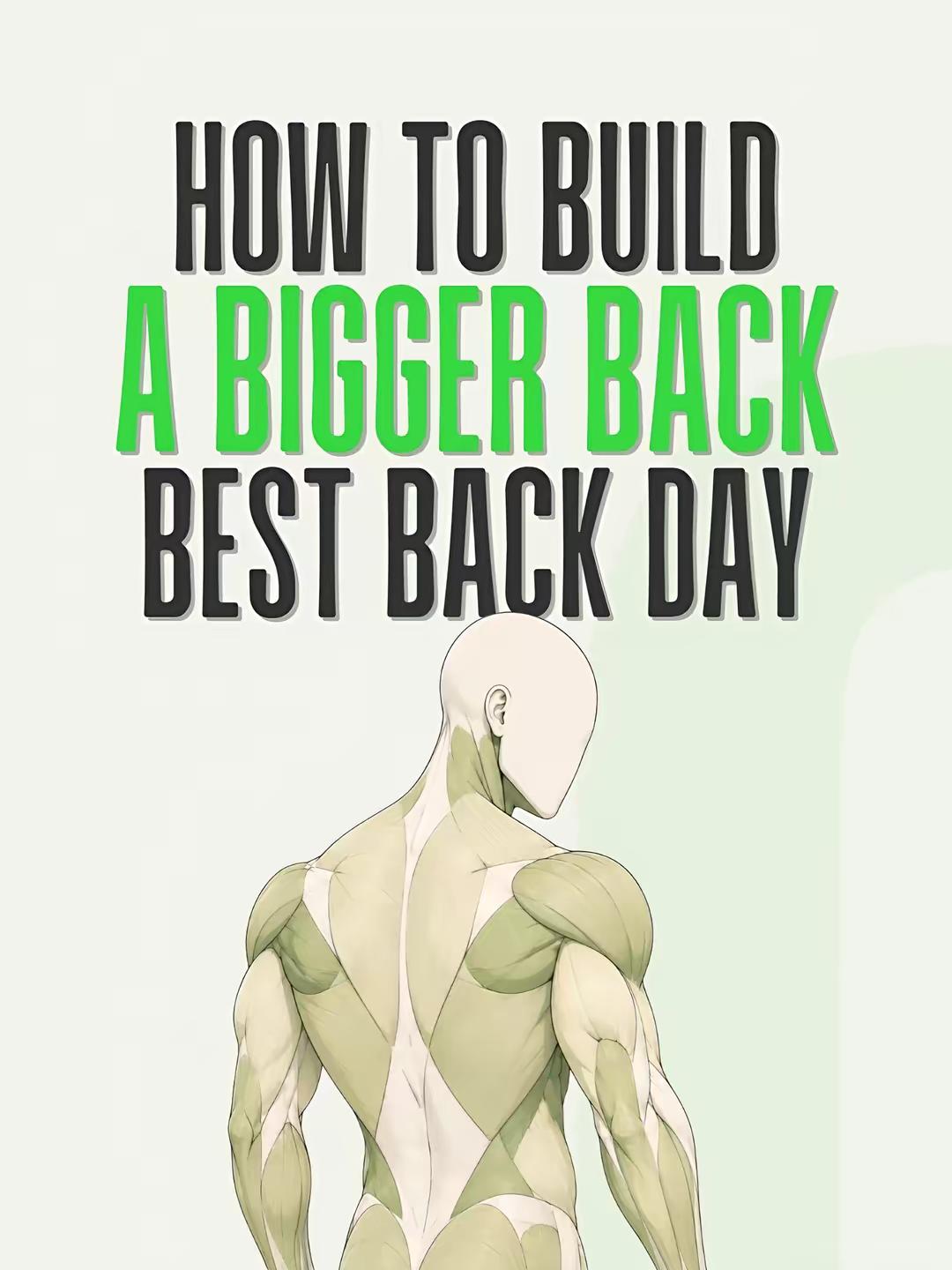 Learn how to buold a bigger back! Lats: Choose one exercise from each movement pattern: • Shoulder adduction: Lat pulldo