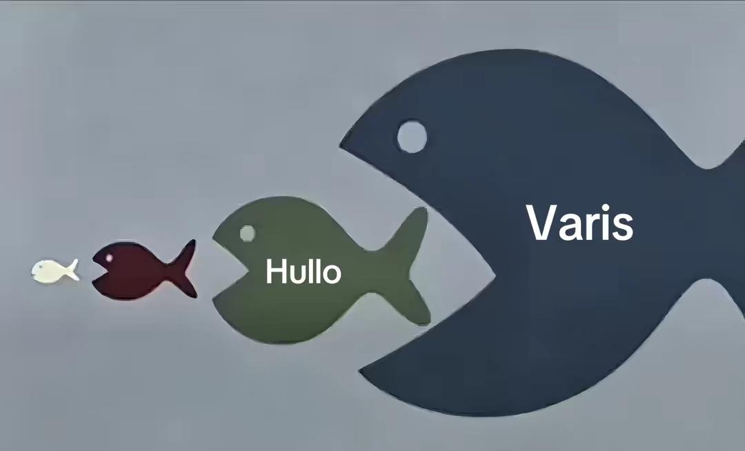 #biggerfish #hullo #varis #asufratleader